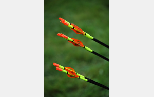 Concours Nature - 19/04/2026