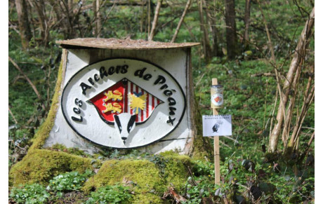 Envie de tirer à l'arc ?