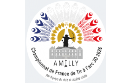 Championnat de France 3D mixtes et équipes de club